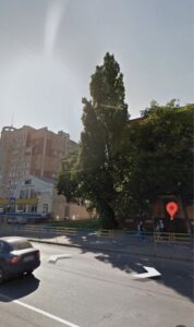 image;s=1000&#215;700